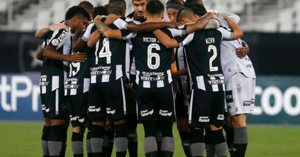 Botafogo promete 'bicho' ao elenco em caso de permanência ...