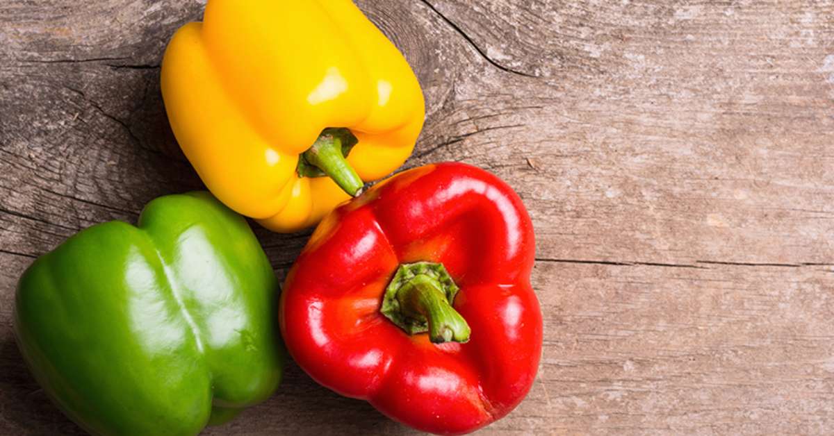 Pimentões descubra quais são os benefícios e malefícios do vegetal