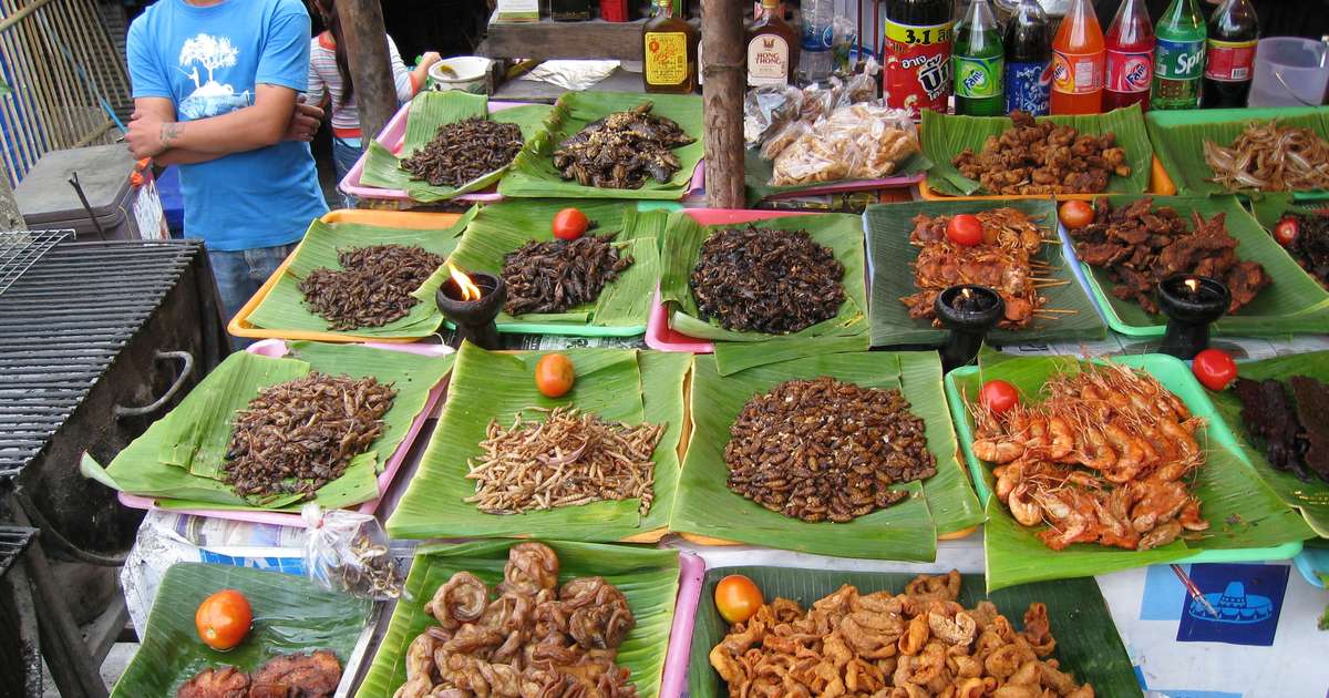 Organização recomenda alimentação com insetos para combater a fome