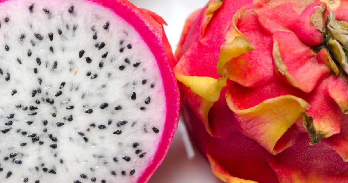 Pitaya Emagrece E Combate O Colesterol Confira Receitas