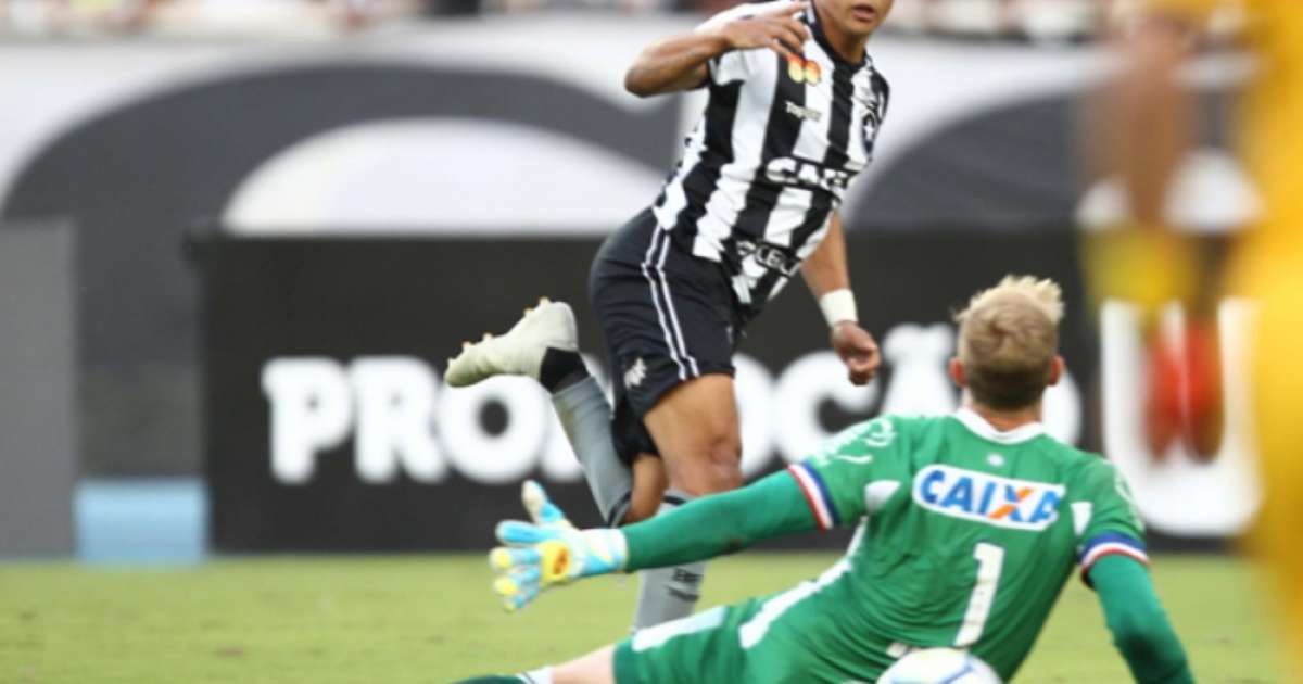 AtuaÇÕes Erik E Luiz Fernando Se Salvam Em Jogo Ruim Do Botafogo 5625