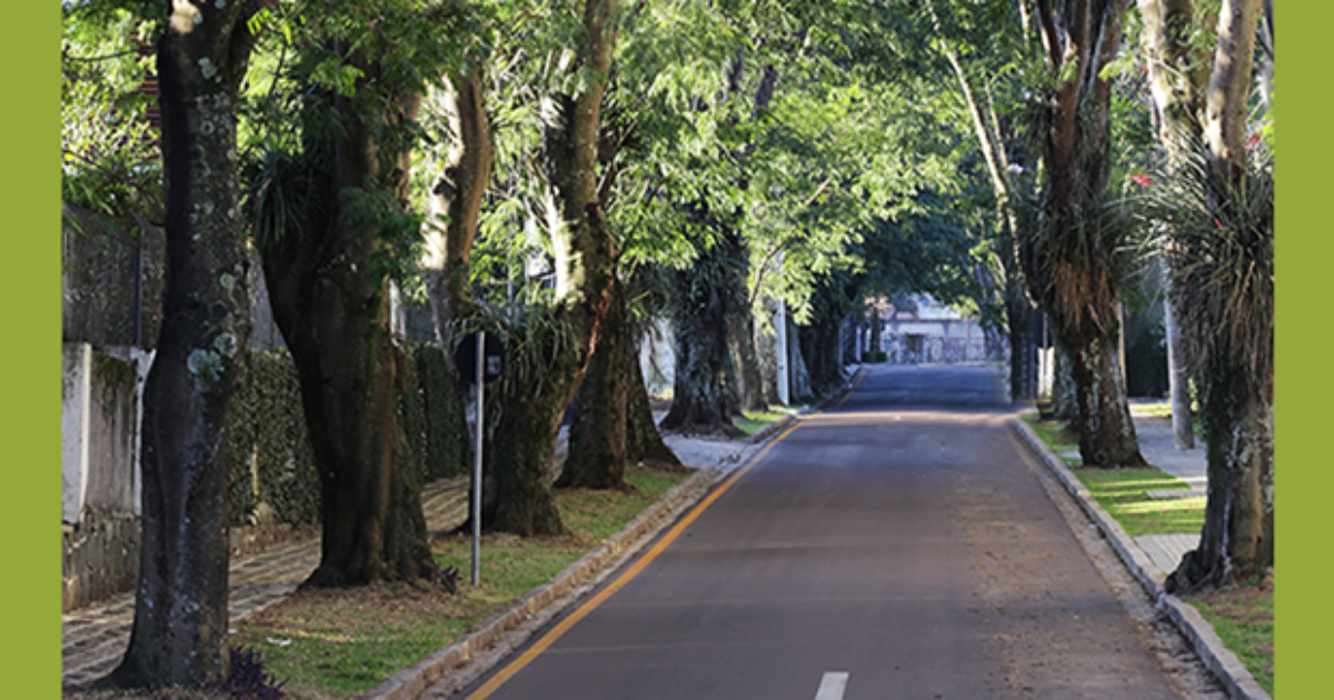 Conhe A As Ruas Mais Bonitas Do Brasil