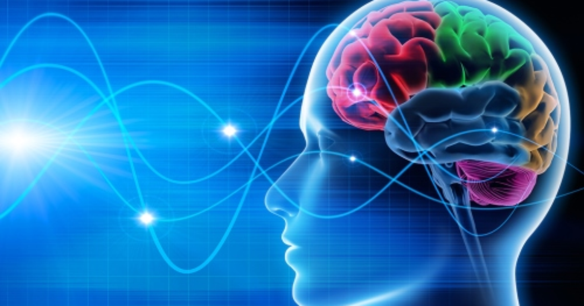 A Influência do neuromarketing na lógica do consumo