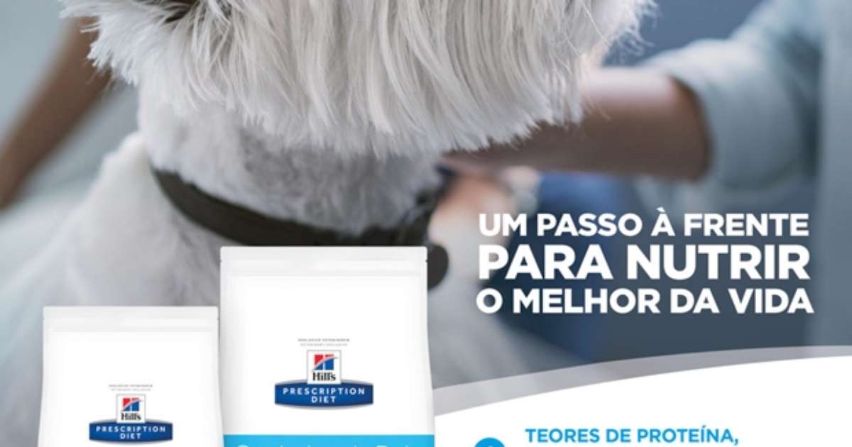 Hill's Pet Nutrition desenvolve alimentação focada na saúde da pele dos cães