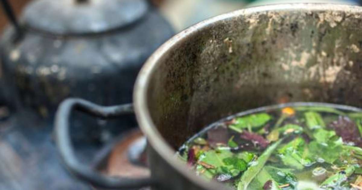 Conhe a tudo sobre o Santo Daime ritual ch ayahuasca e ora es