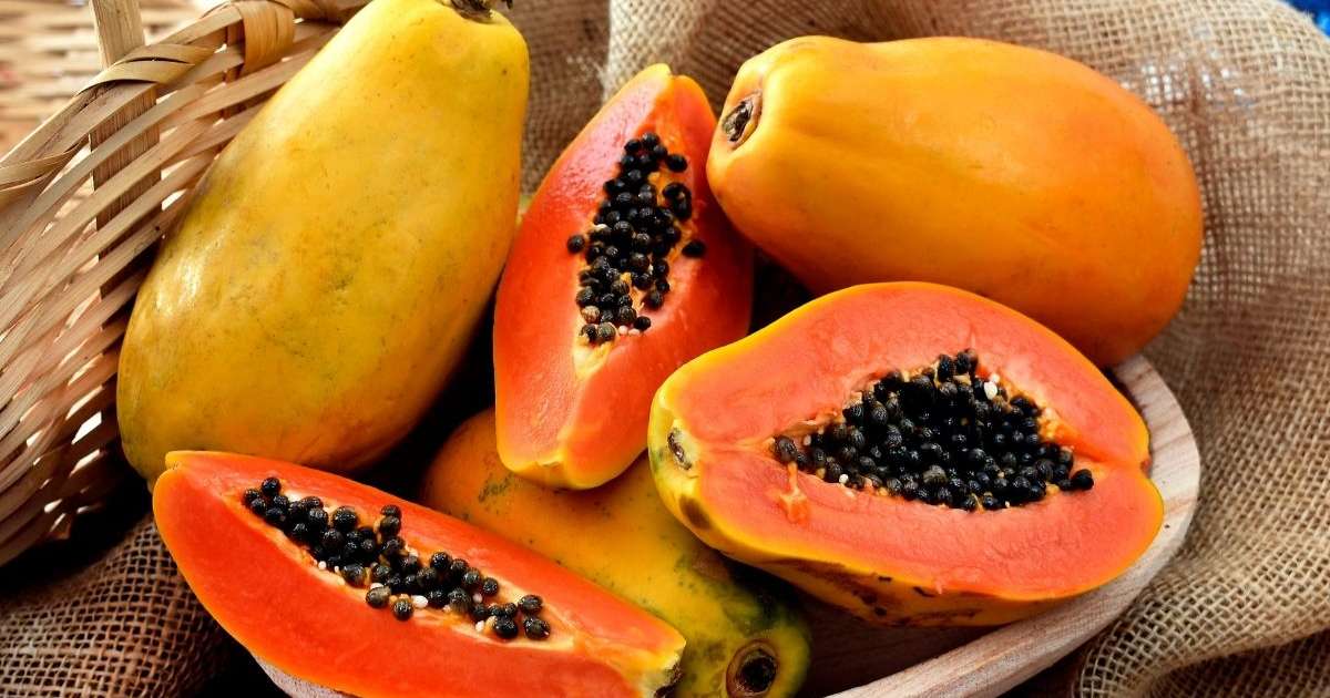 9 benefícios do melão (com receitas saudáveis) - Tua Saúde