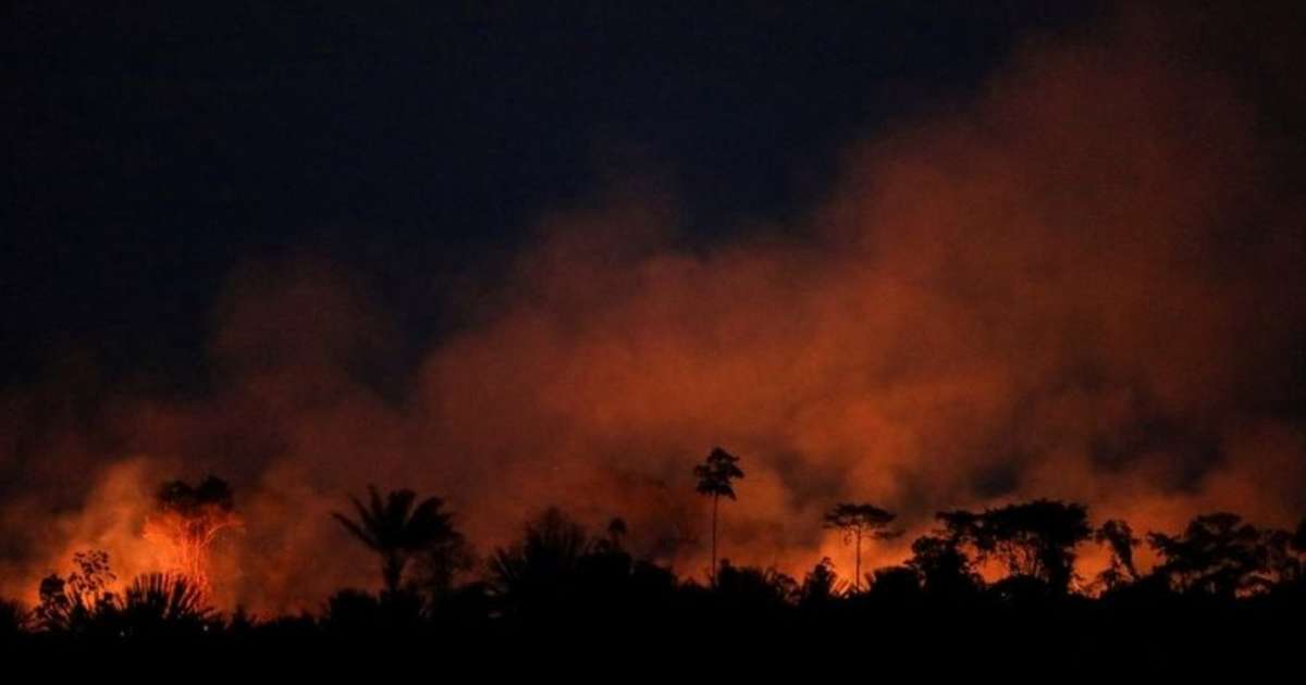 COP26: Há 'descompasso' Entre O Que Brasil Promete Ao Mundo E O Que Faz ...