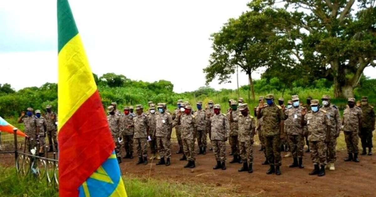 Estupro foi arma de guerra no Tigré, em África, aponta relatório Estupro foi arma de guerra no Tigré, em África, aponta relatório