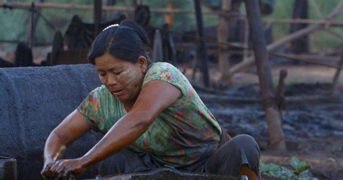 Ecofalante: mostra de cinema amplia repertório sobre meio ambiente