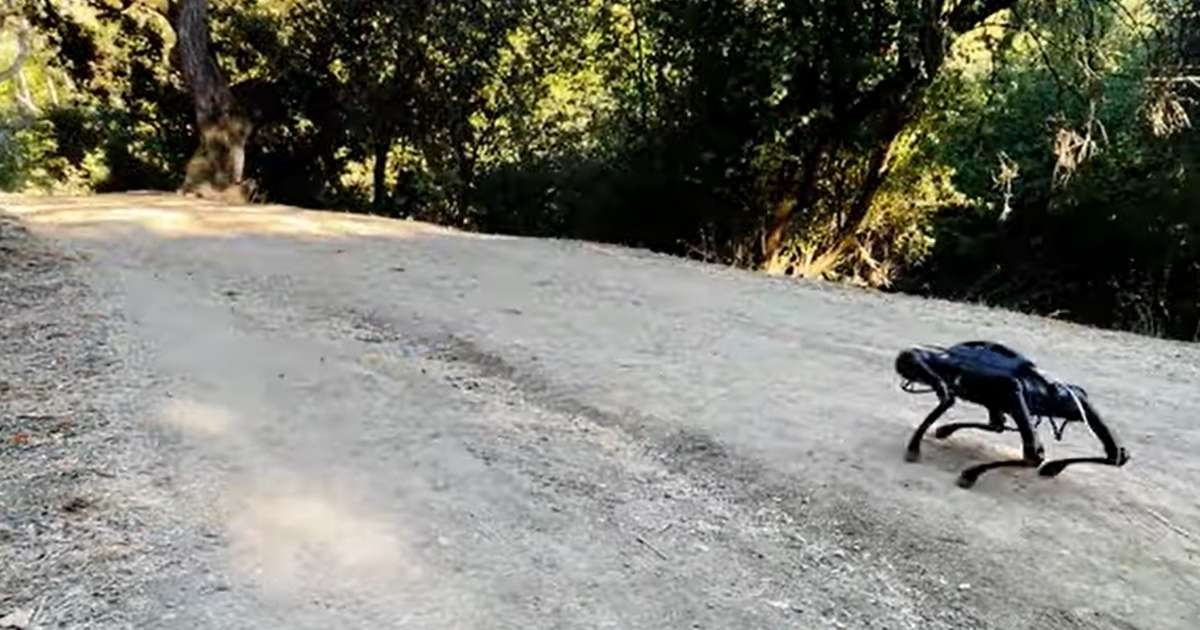 Ein Roboterhund lernt in 20 Minuten, auf unebenem Gelände zu laufen;  Schau das Video