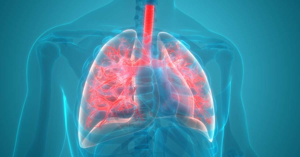 Dia Mundial da Pneumonia: saiba como prevenir a doença