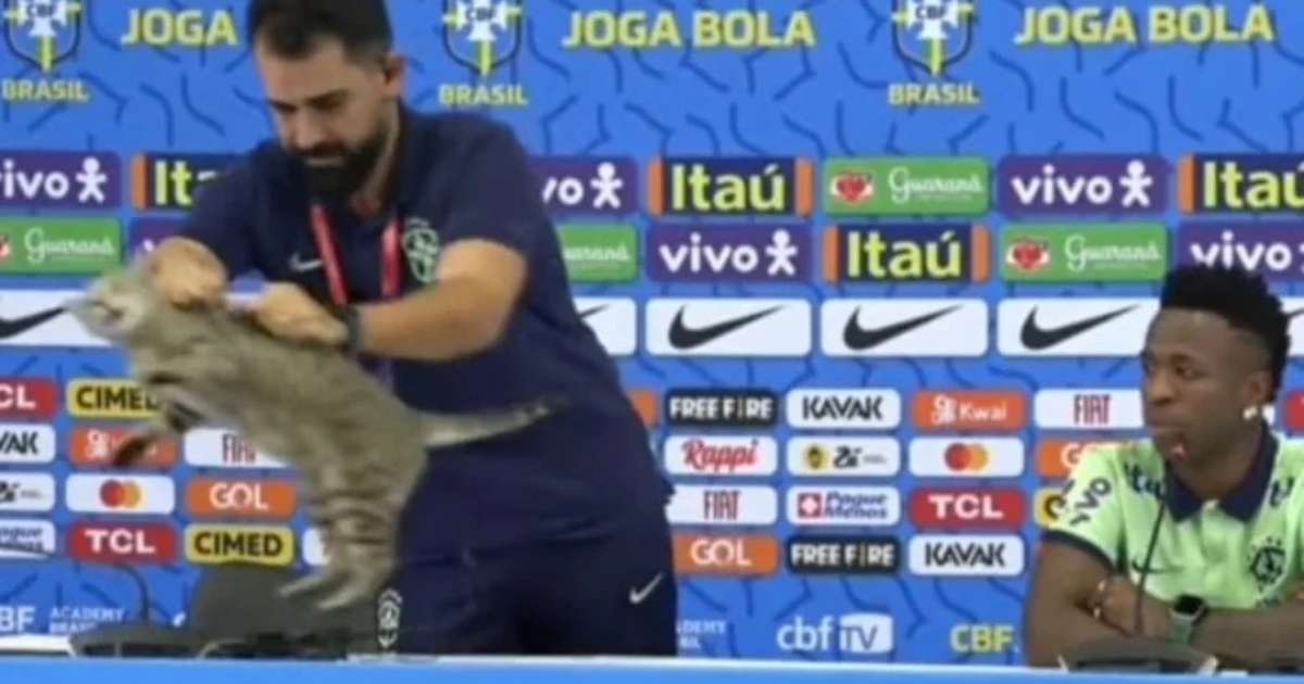 Gato viraliza após invadir entrevista de Vini Junior na seleção