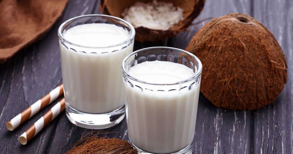 Leite De Coco Caseiro Descubra Os Benef cios E Como F cil De Fazer leite-de-coco-caseiro-descubra-os-benef-cios-e-como-f-cil-de-fazer