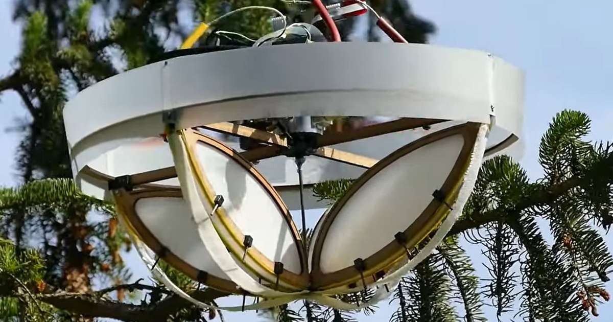 Drones collect DNA from trees to monitor biodiversity