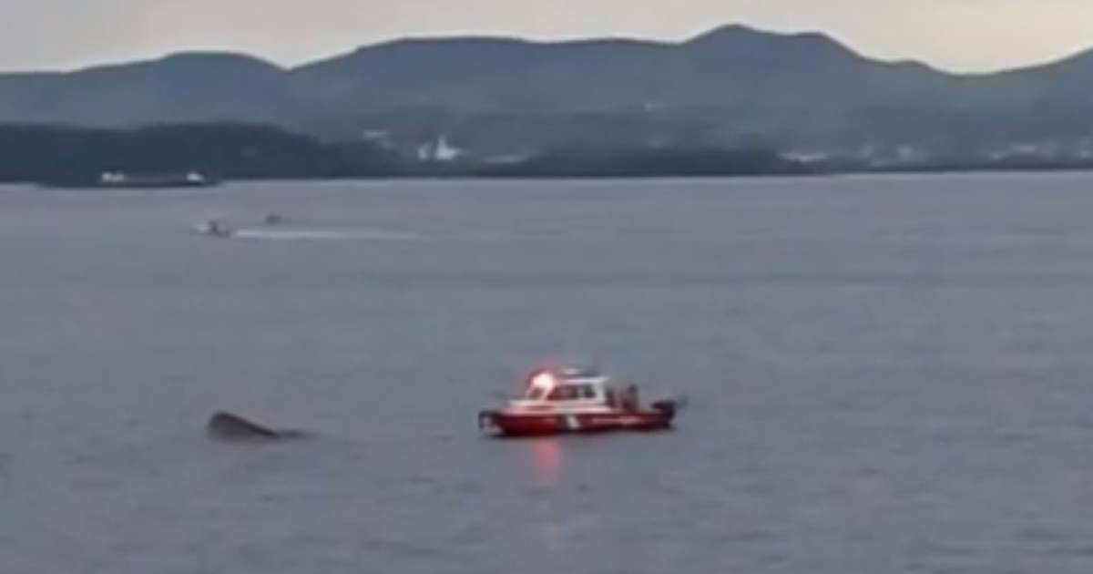 Barco afunda na Baía de Guanabara e seis seguem desaparecidas no Rio de Janeiro
