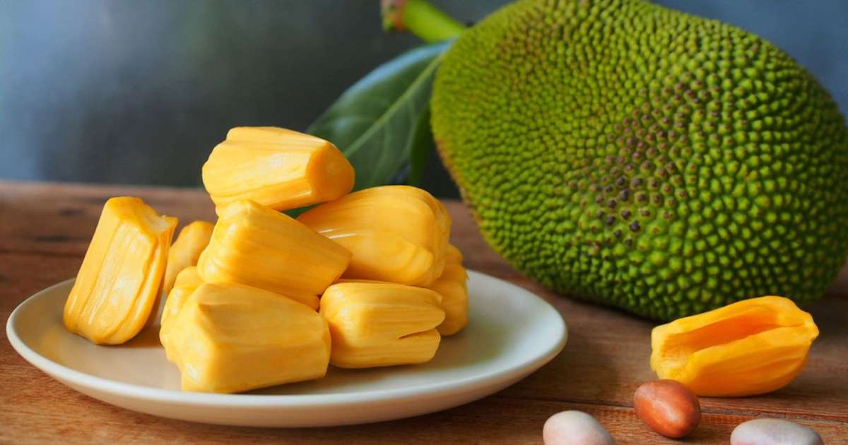 Carne de jaca: aprenda a preparar ingrediente que é o paraíso dos veganos