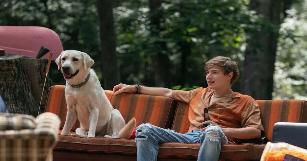 Os 43 Melhores Filmes sobre Animais da Netflix - Página 1 - Cinema10