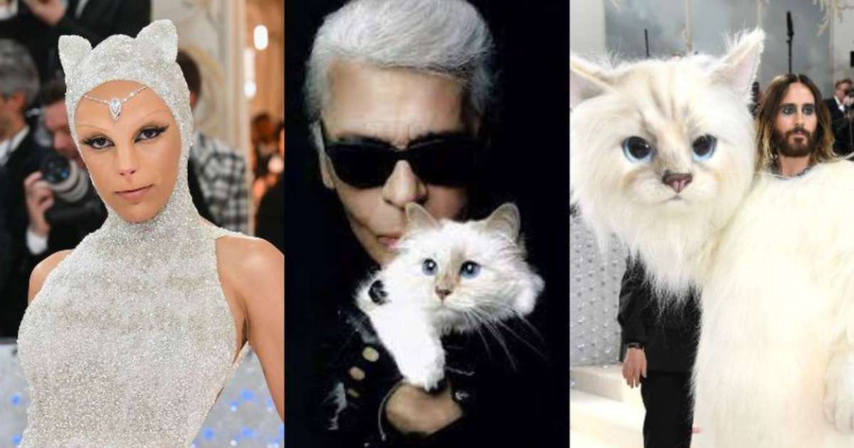 Met Gala Por Que Famosos Se Vestiram De Gato Conhe A Choupette