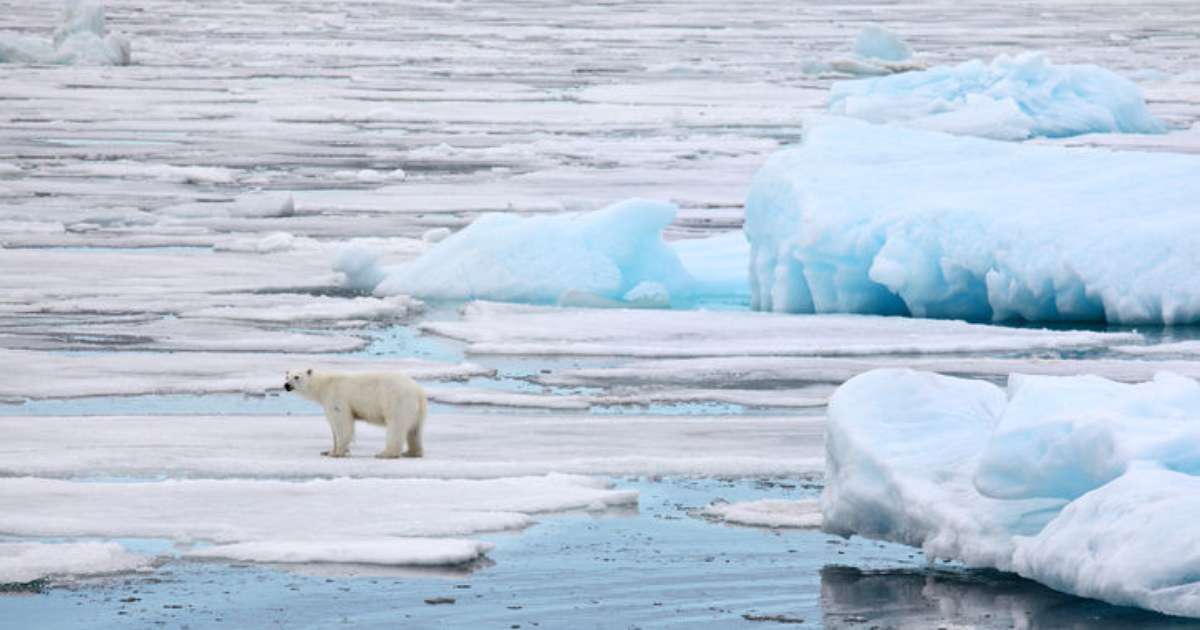 Efeito estufa: causas, consequências e relação com aquecimento global