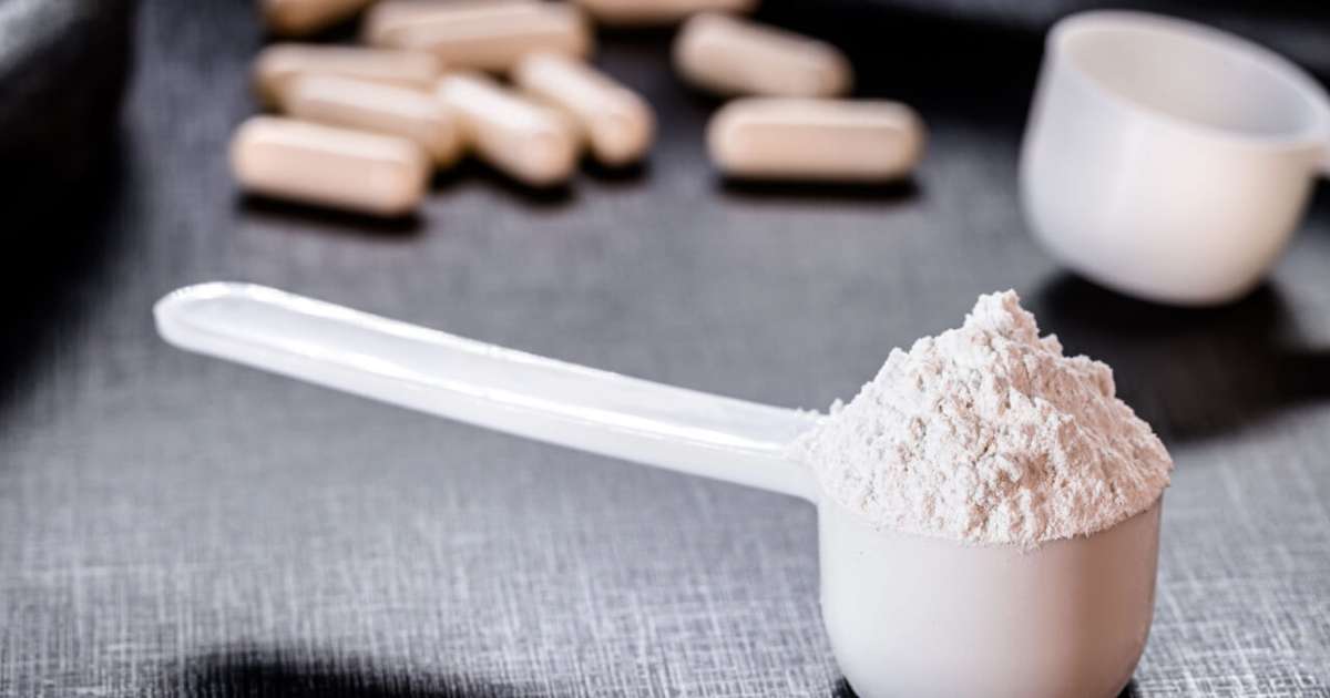 Creatina monohidratada: o que é, para o que serve e como tomar