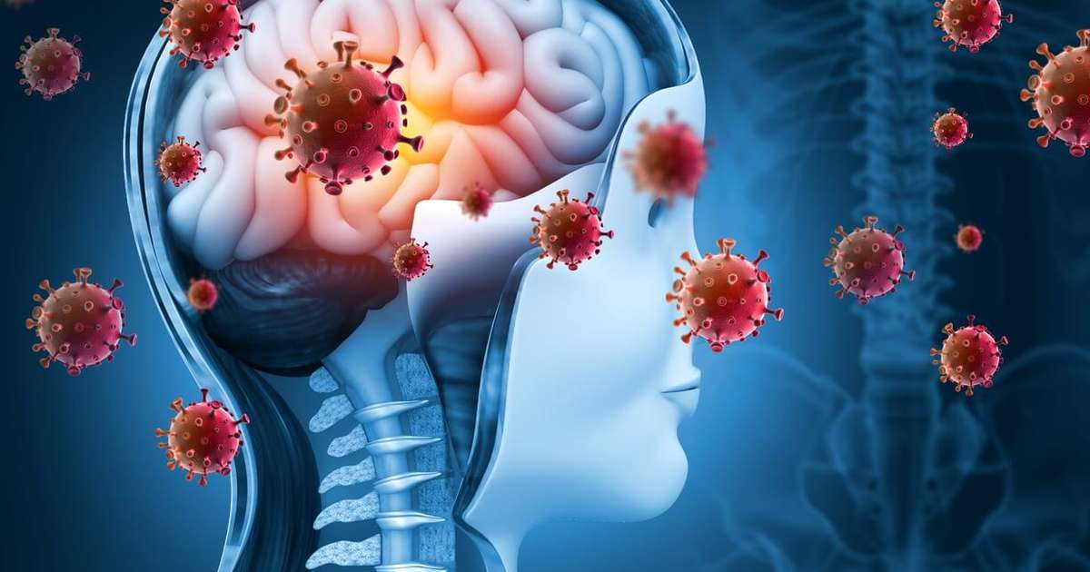 Meningite Conheça 8 Mitos E Verdades Sobre A Doença 1758