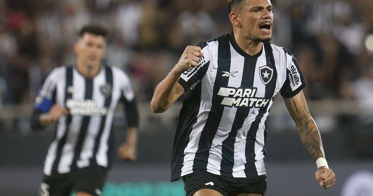 De Virada, Botafogo Vence O Guaraní No Nilton Santos Pelo Jogo De Ida ...