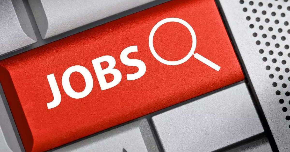Mais vagas: veja as startups que estão contratando Mais vagas: veja as startups que estão contratando