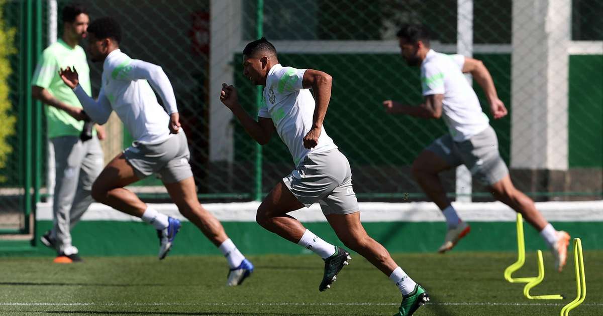 
Trio faz tratamento no DM, e Palmeiras segue preparação para enfrentar o Cuiabá
