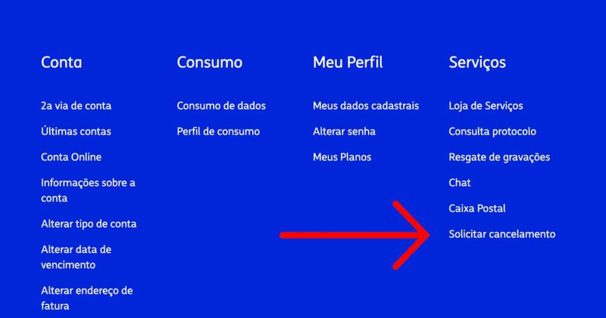 Como cancelar a Netflix  Smart TVs, celular e PC - Canaltech