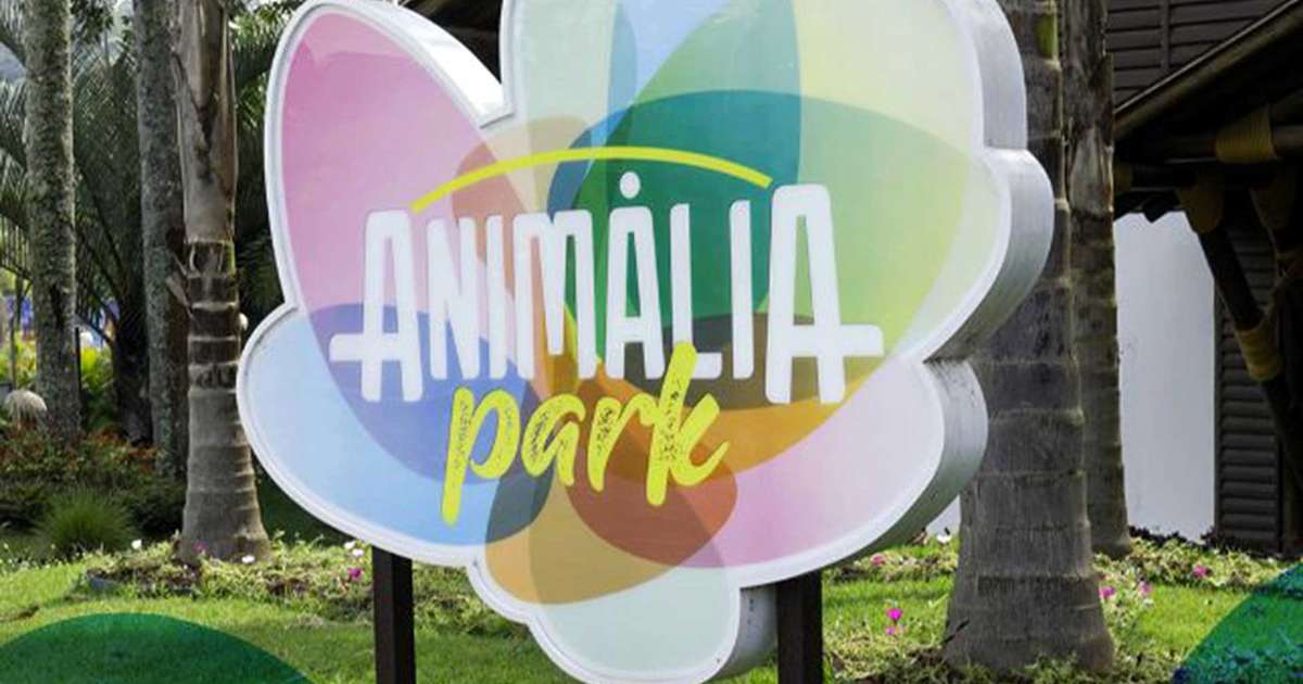Quando o Animalia Park vai abrir? Novo parque de diversões de Cotia terá  carrossel, montanha-russa e zoológico