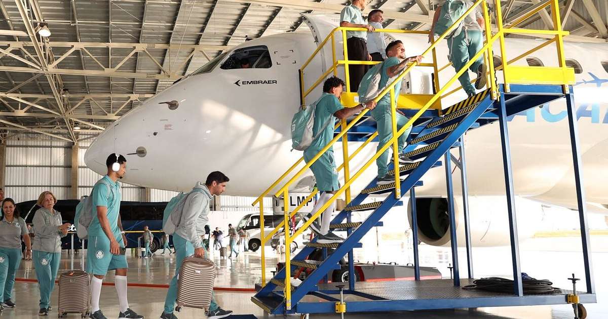 
Palmeirense especialista em aviação tranquiliza torcida sobre pane: 