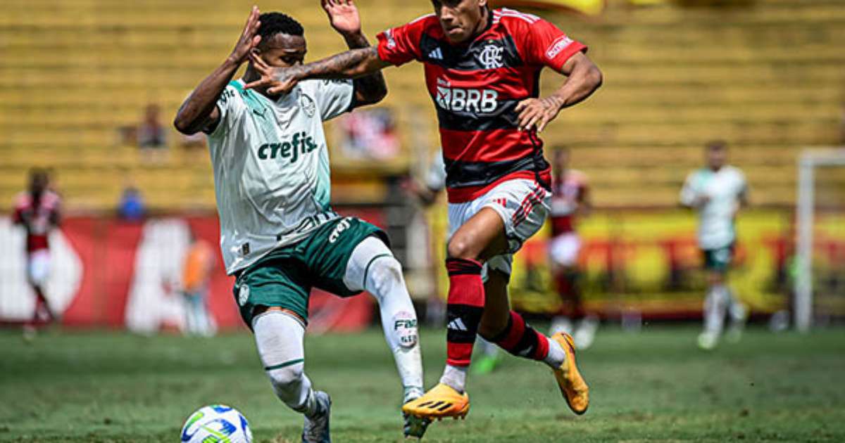 Flamengo vence o Palmeiras nos pênaltis e é campeão do Brasileirão