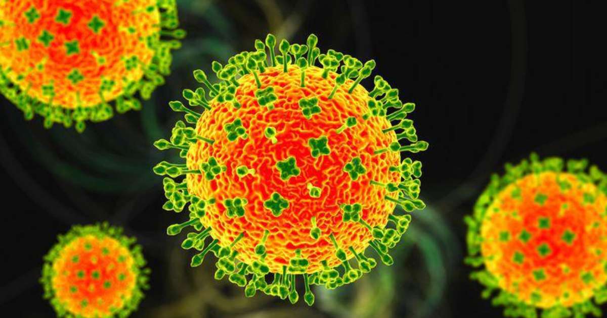 Nipah: quais são as chances de vírus mortal chegar ao Brasil ou causar nova pandemia?