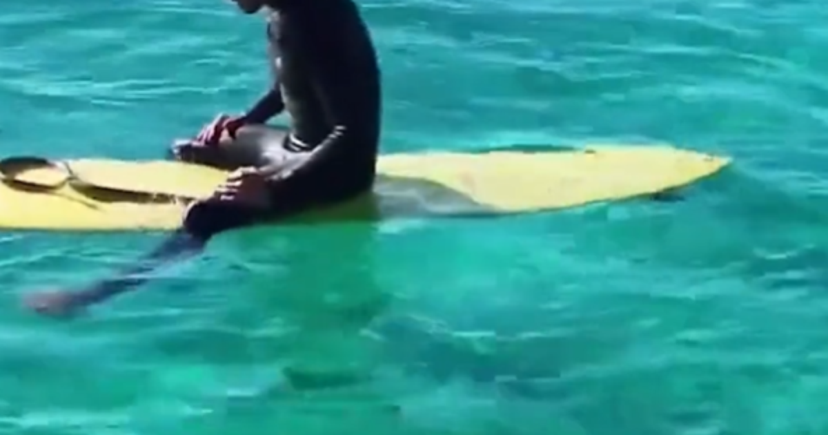 Brasileiro é multado por surfar com cobra píton na Austrália - AcheiUSA