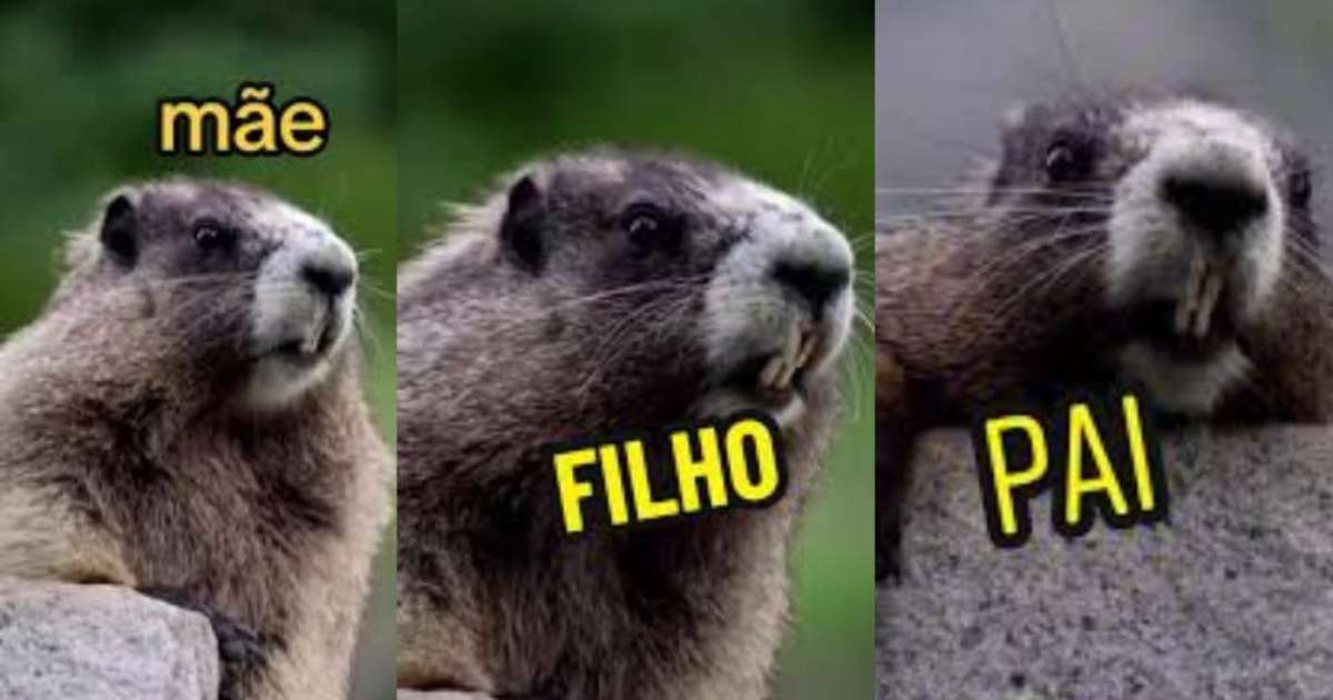 NPC, marmota e mais: os memes que dão dinheiro a brasileiros nas redes  sociais