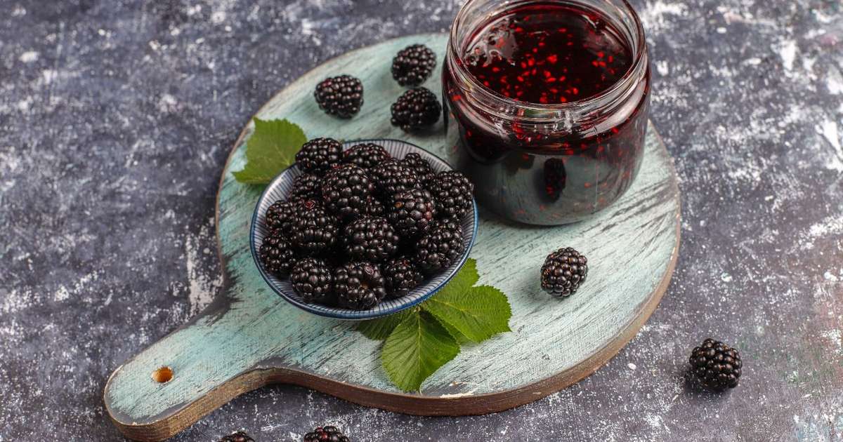 Geleia de amora sem açúcar: uma receita doce e saudável