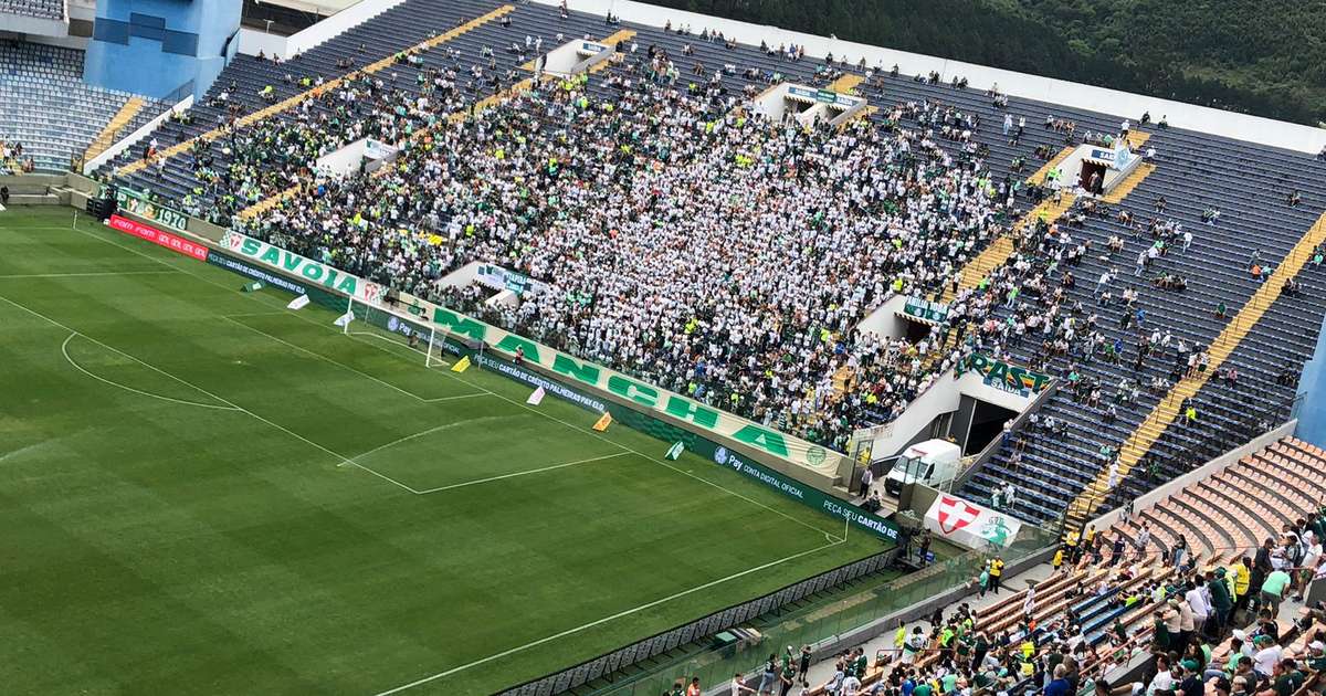 Escolinhas oficiais do Palmeiras levam alunos para jogo e visita ao Allianz  Parque – Palmeiras