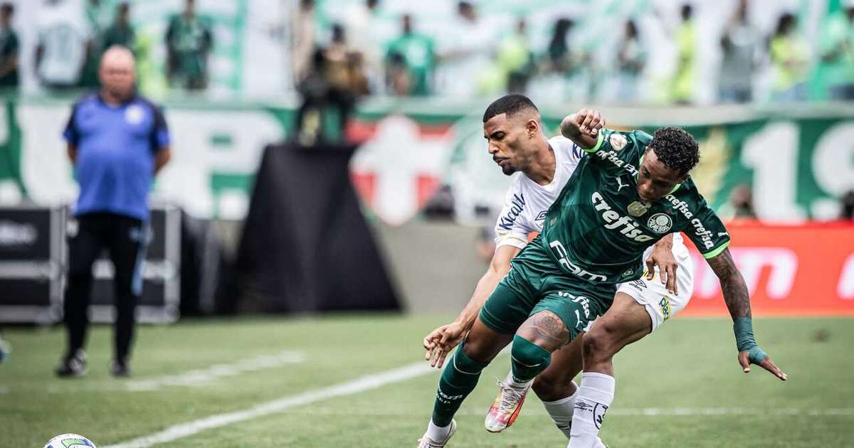 PALMEIRAS X SANTOS TRANSMISSÃO AO VIVO DIRETO DE BARUERI - CAMPEONATO  BRASILEIRO 2023 