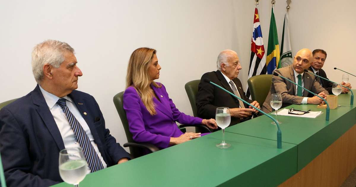 Impeachment de Leila? Entenda como funciona esse processo na política do Palmeiras