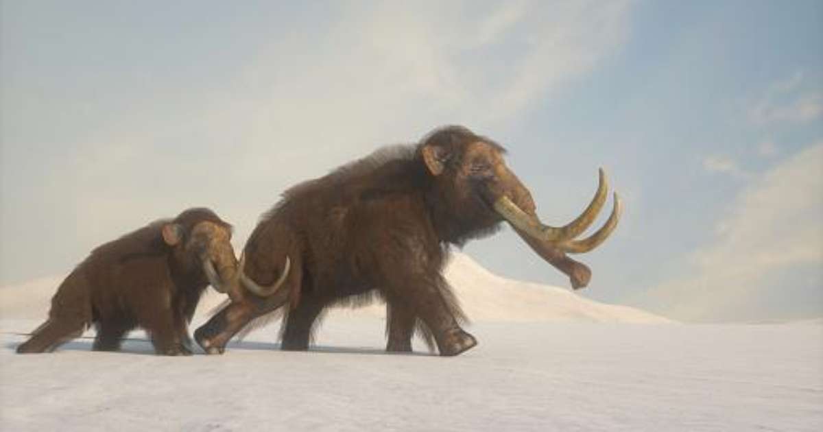 Animais extintos: espécies que desapareceram e o porquê