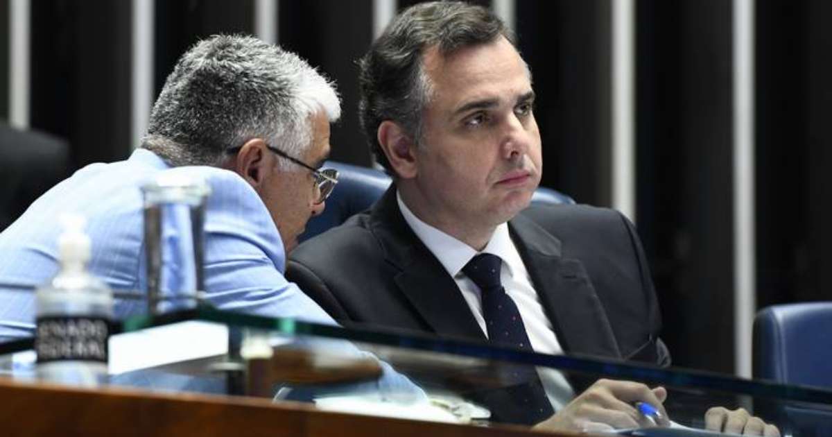 Gleisi Diz Que Pacheco Faz Serviço à Extrema Direita Ao Bancar PEC Que ...