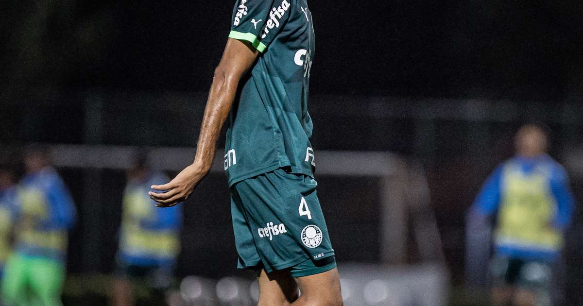 Com empate do Botafogo, Palmeiras confirma liderança do Brasileirão  restando quatro rodadas