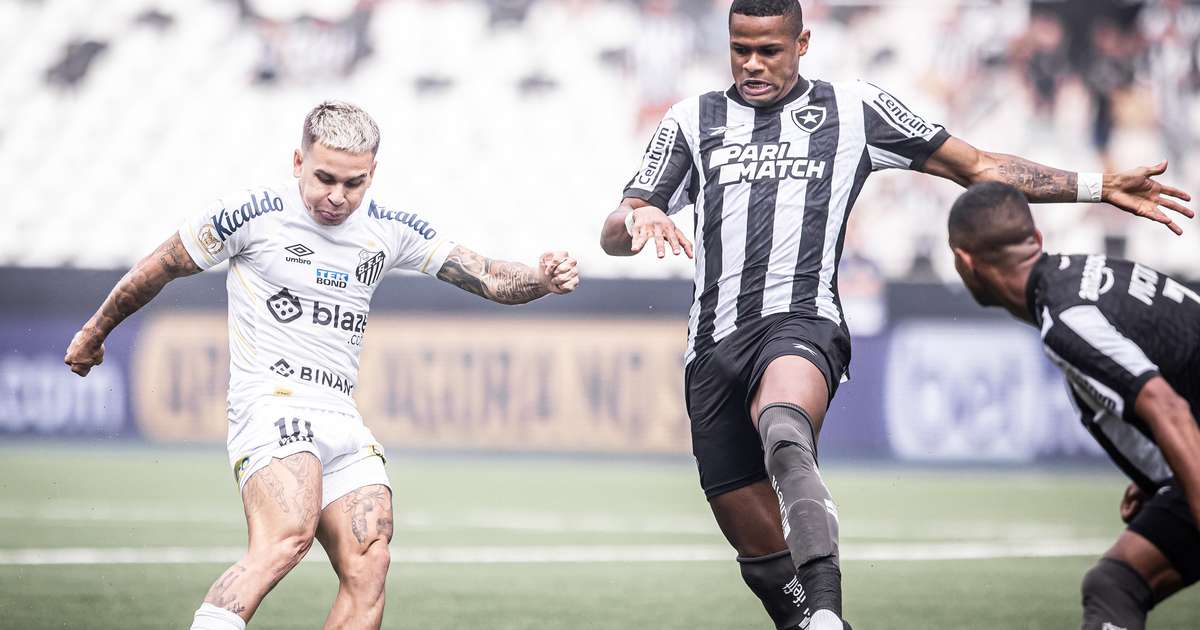 Santos arranca empate no fim e mantém Botafogo atrás do Palmeiras no  Brasileirão – REVISTA PARANÁ