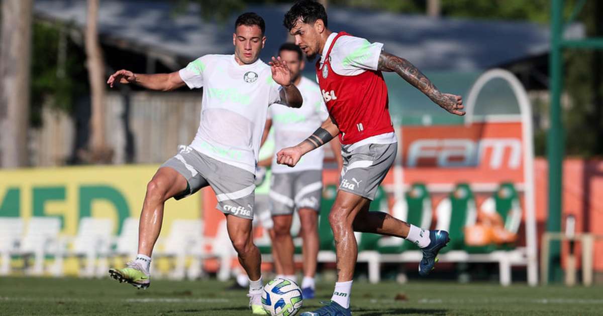 Luan e Luís Guilherme treinam e Palmeiras segue preparação para enfrentar o Fluminense