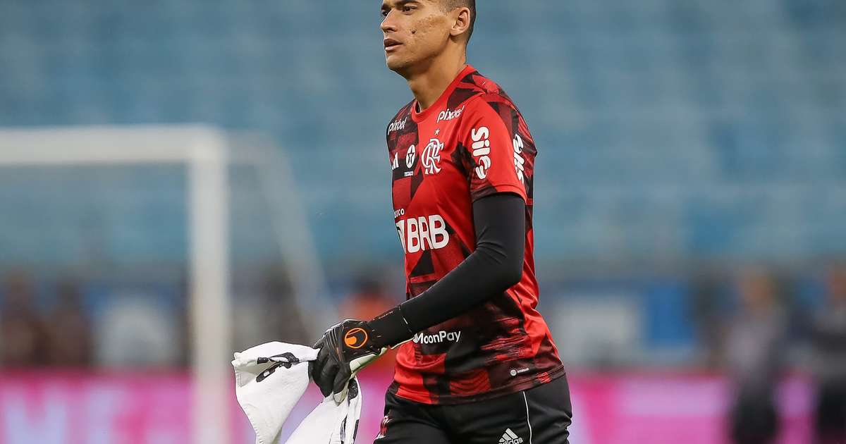 Análise: Lucas Perri, do Botafogo, é um dos melhores goleiros do Brasil em  2023