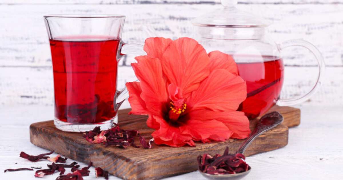 Descubra os benefícios do chá de hibisco para a saúde e saiba como ...