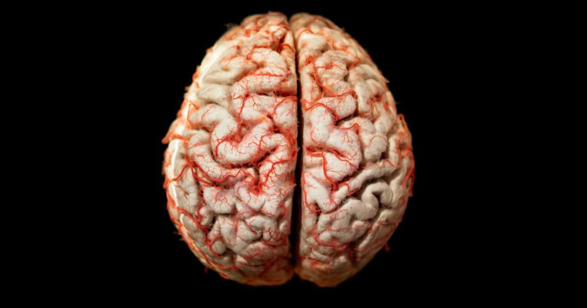 Science is discovering what happens to the brain when you fall in love