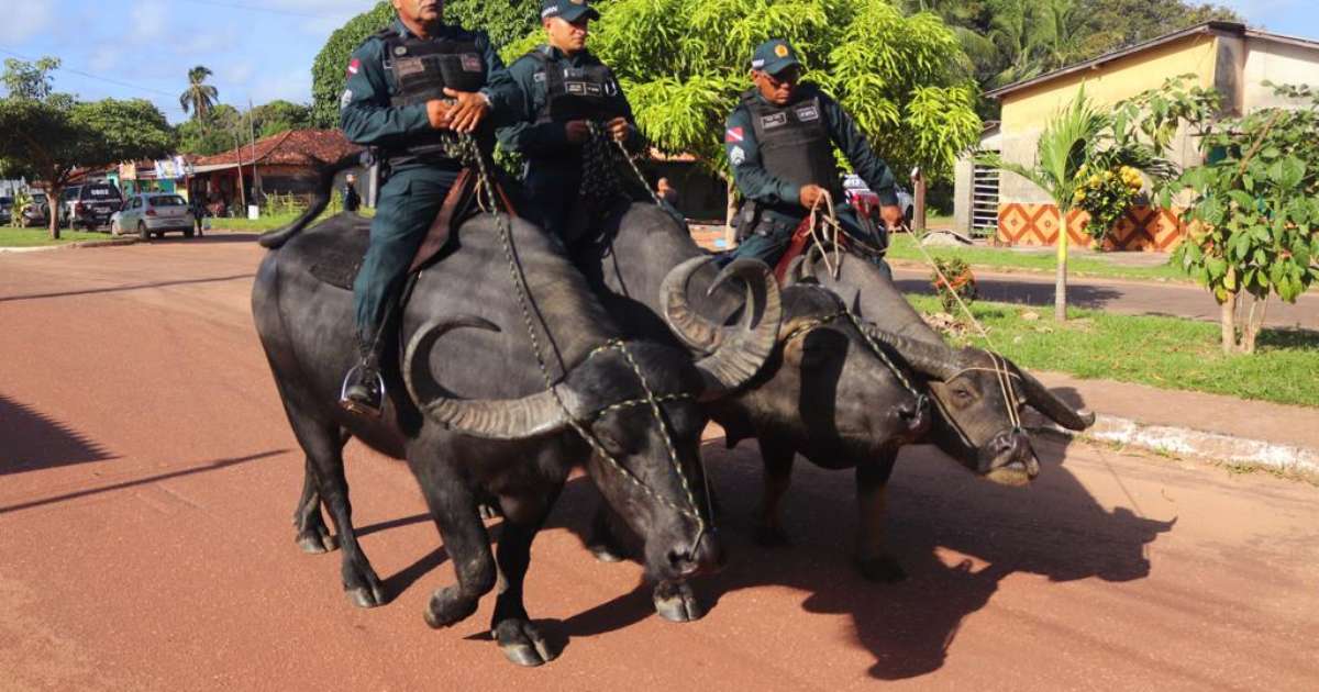 estrela bet esta fora do ar