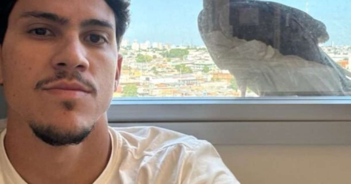Pedro é acordado por urubu antes de estreia: Bem-vindo 2024
