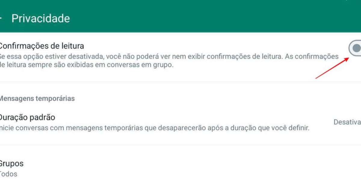 Como ver o status do WhatsApp escondido An nimo